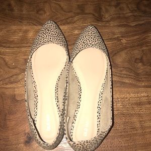 Leopard pointy flats